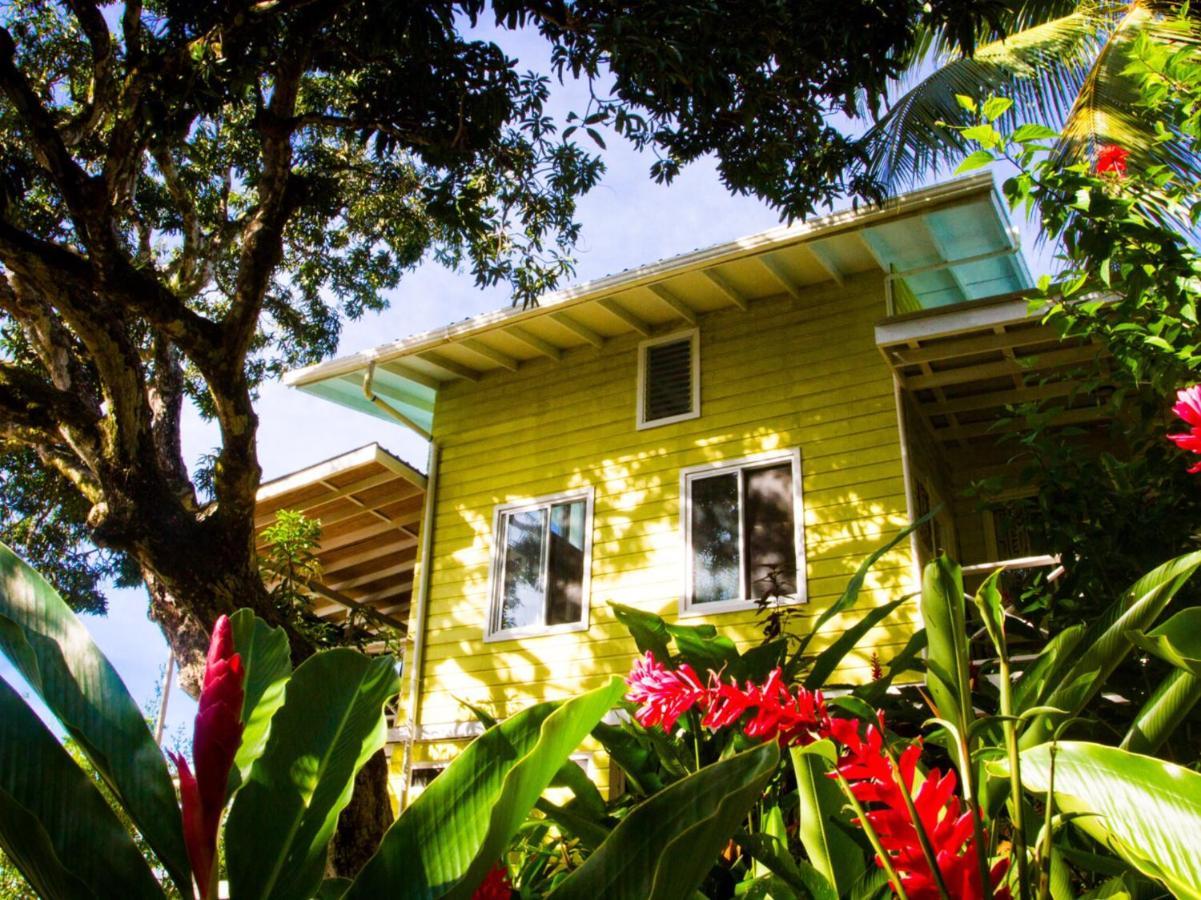 Los Secretos Guesthouse Bocas del Toro Exteriér fotografie