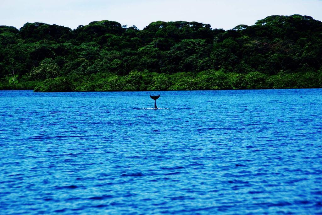 Los Secretos Guesthouse Bocas del Toro Exteriér fotografie