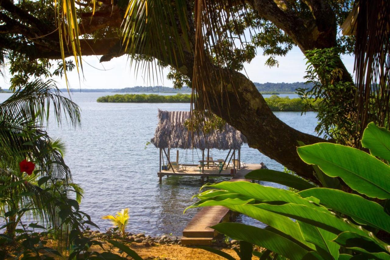 Los Secretos Guesthouse Bocas del Toro Exteriér fotografie