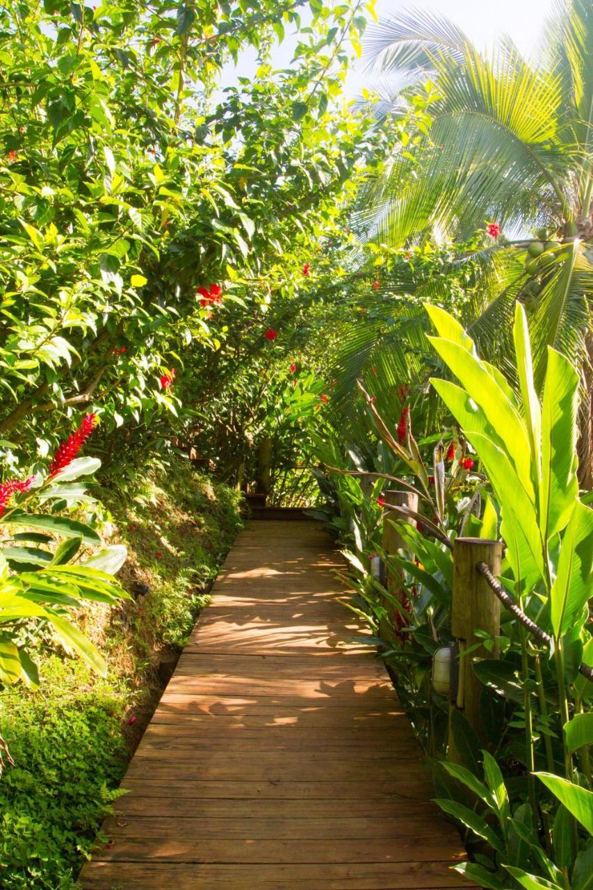 Los Secretos Guesthouse Bocas del Toro Exteriér fotografie